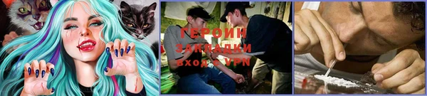 тгк Володарск