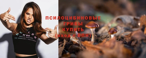 тгк Володарск