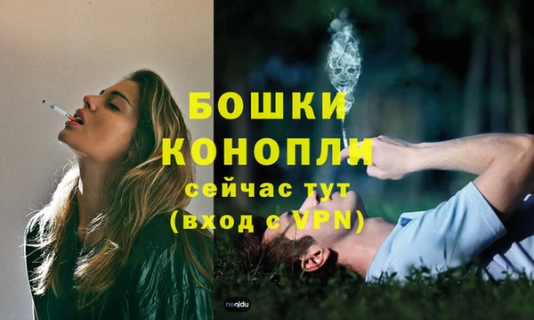 тгк Володарск