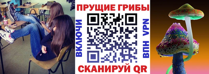 Псилоцибиновые грибы мицелий  даркнет сайт  Севастополь 