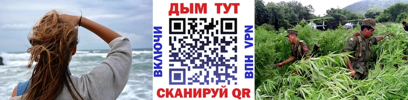 omg ссылка  где купить наркоту  Севастополь  Канабис гибрид 